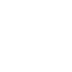 The North Face Brand