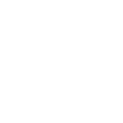 Hanes Brand