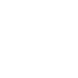 Bella + Canvas Brand