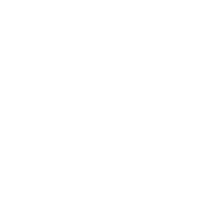Port Authority Brand